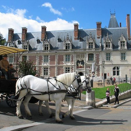 Blois City - Le Petit Saint Jean 외부 사진