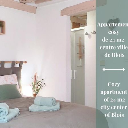 Blois City - Le Petit Saint Jean 외부 사진