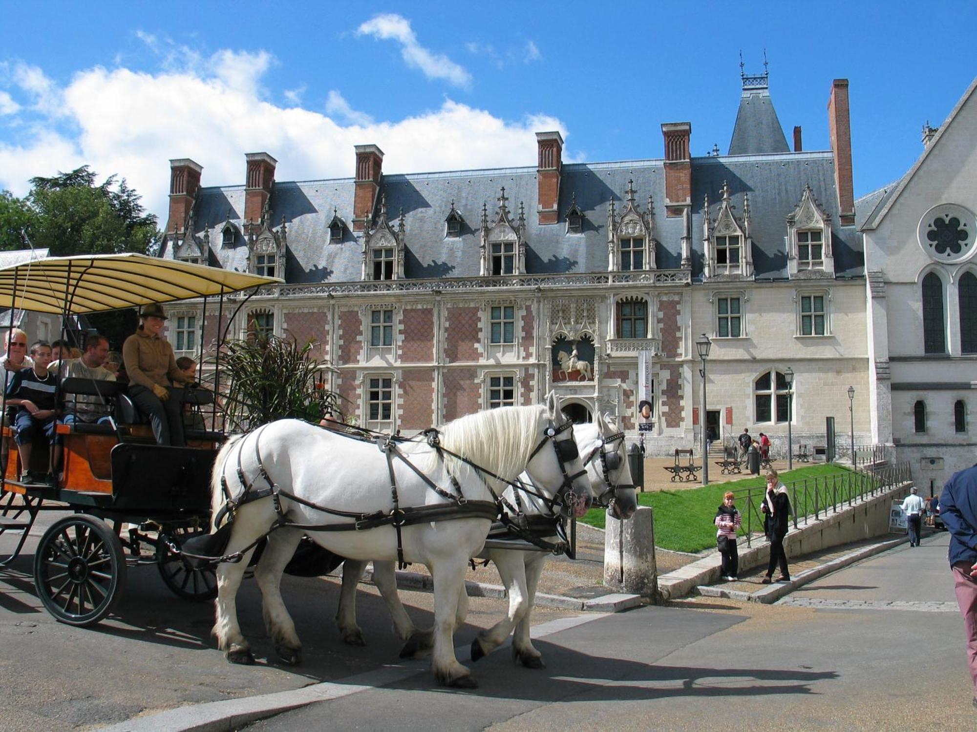 Blois City - Le Petit Saint Jean 외부 사진